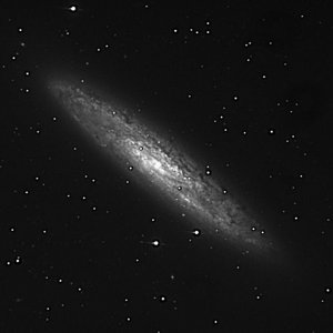NGC 253 -- Sculptor-Galaxie