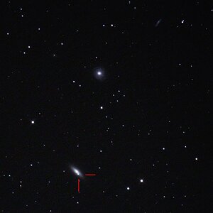 Supernova in NGC 4036