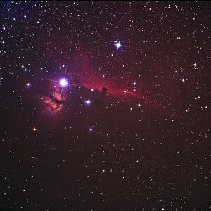 IC 434 Pferdekopfnebel mit NGC 2024