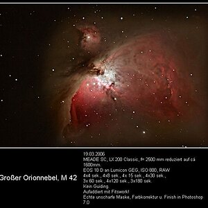 Ein guter Bekannter vom 19.03.2006
