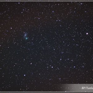 8P/Tuttle bei M33