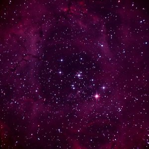 NGC2244 - Die Rosette