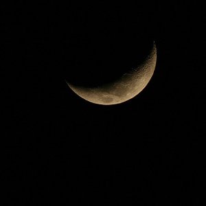 Der Mond