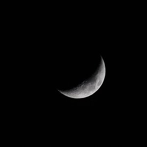 _MG_7595.jpg