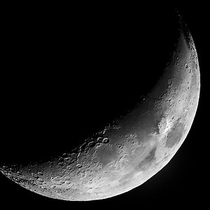 Mond-Org_7597.jpg