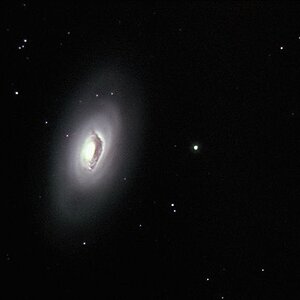 M64