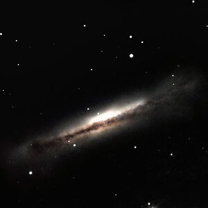 NGC3628