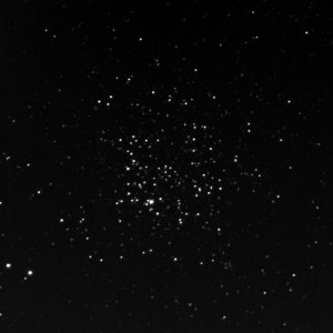 M11