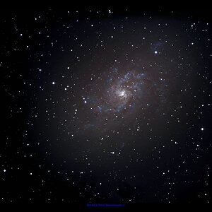 M33