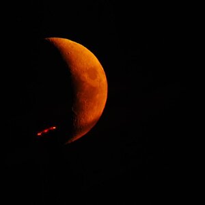 Dsc_5003.jpg