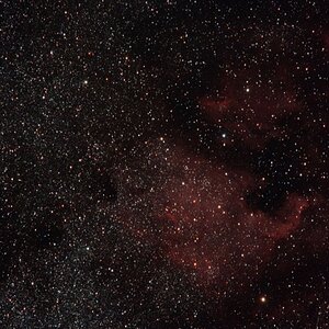 ngc7000_auto_tonwert_skaliert_1250_q80.jpg