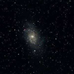 M 33