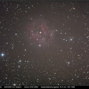 NGC 5146 (Coconnebel)