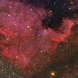 NGC 7000
