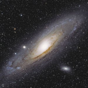 M 31