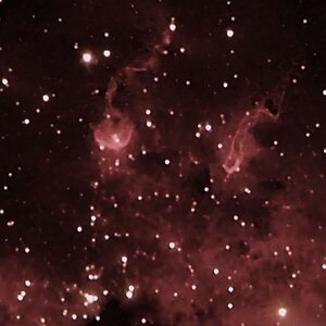 IC410 Tadpoles (Kaulquappen)