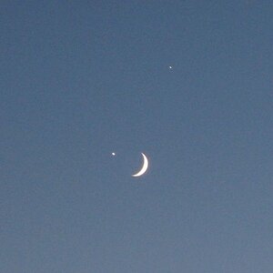 4 - IMG_0206.jpg