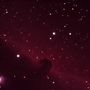 barnard33-2008-12-29_01.jpg