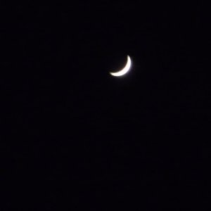 Mond und Venus am 31.12.2008