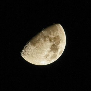 Mond