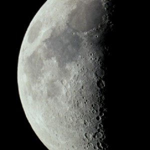 Mond