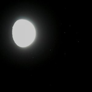mople1.JPG