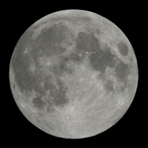 Vollmond vom 11.01.09-kl.jpg