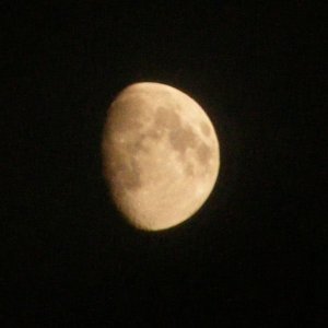 mond vom 5.2.09