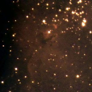 m16.jpg
