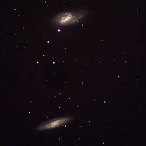 M 65 + M 66