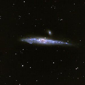 NGC 4631