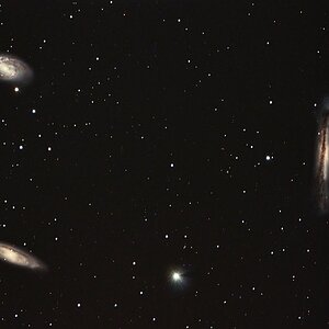 Leo Triplett mit 1300mm