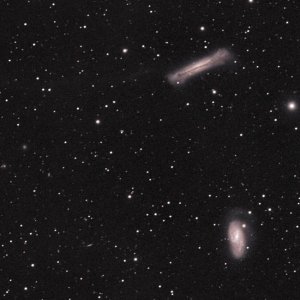 leo_tri_19x600s_iso800_ed80_067red_2dss_backg_korrigiert_16bit_ps_50pro_crop.jpg