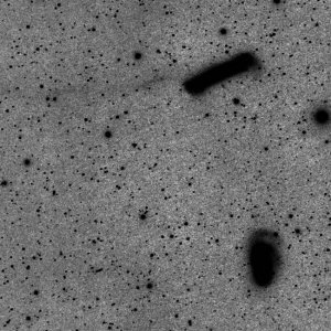 leo_tri_19x600s_iso800_ed80_067red_2dss_backg_korrigiert_16bit_ps_50pro_crop_sw.jpg