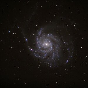 M 101
