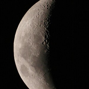 mond am 03.03.09