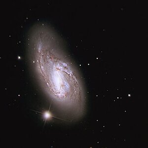 M66