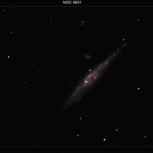 ngc4631a_hf.jpg
