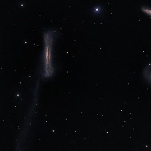 leo triplett.jpg