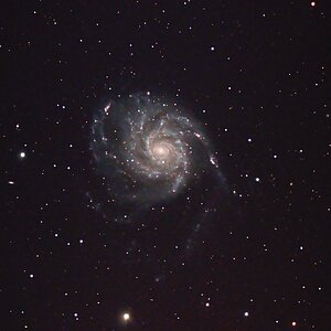 M 101 Update