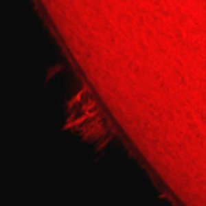 sun4.jpg