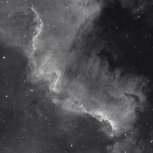 NGC 7000 - ein bissl früh