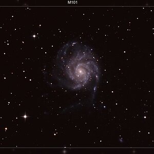 M101
