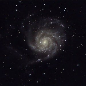 Neubearbeitung M 101