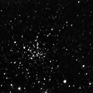 m38.jpg