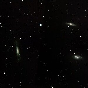 Leo-Triplett