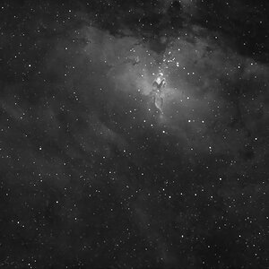 M16 Adlernebel