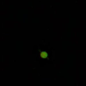 Saturn_neu_klein.jpg