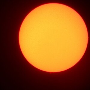 Sonne: h-alpha vom 24.06.2009
