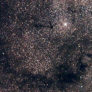 B104_ 200mm.jpg